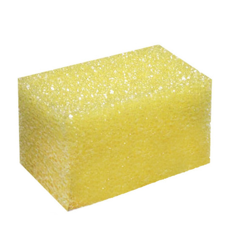 Scrub Sponge